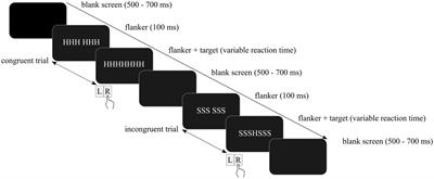 Cognitive control in adults with high-functioning autism spectrum disorder: a study with event-related potentials